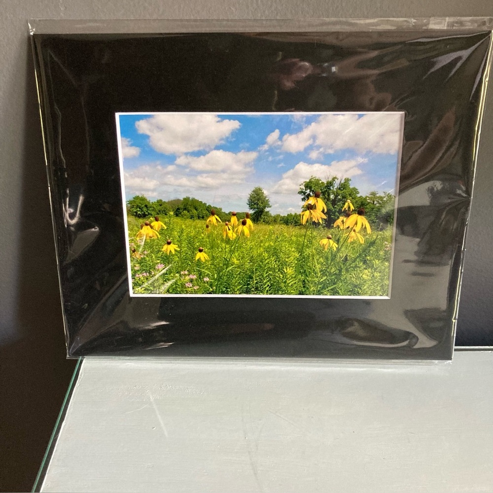 Flower Field Matted Art Photography Ready To Frame
